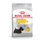 Royal Canin Mini Dermacomfort Care – Hrană Uscată pentru Câini Adulți de Talie Mică, pentru Piele Sensibilă – 1 kg